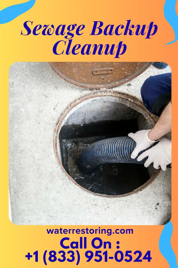 Sewage Backup Cleanup in Simpson, NC