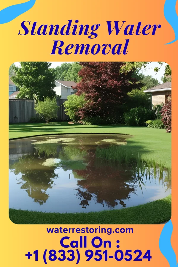 Standing Water Removal in Simpson, NC